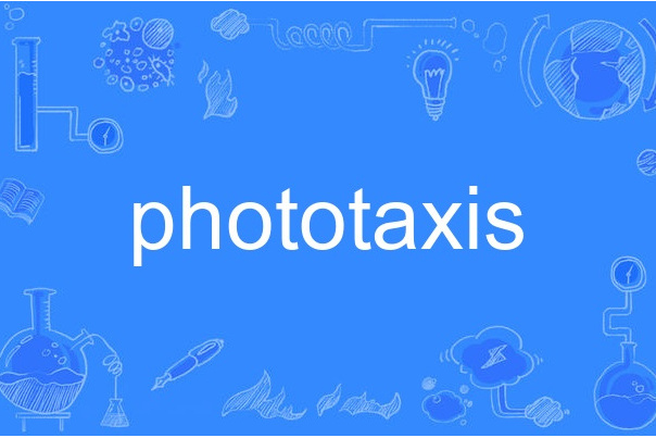 Phototaxis