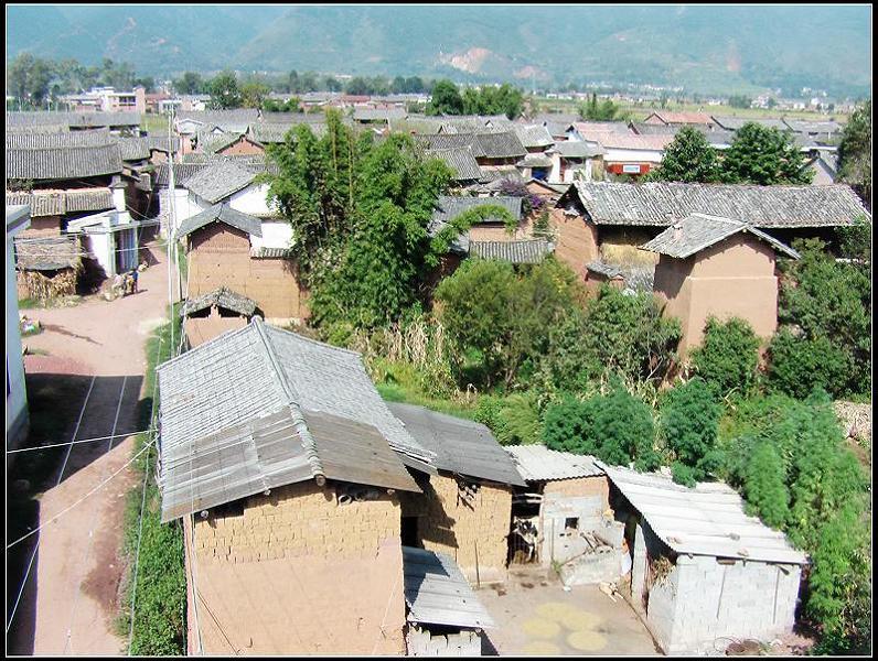 羅家營村(雲南曲靖市陸良縣板橋鎮下轄村)