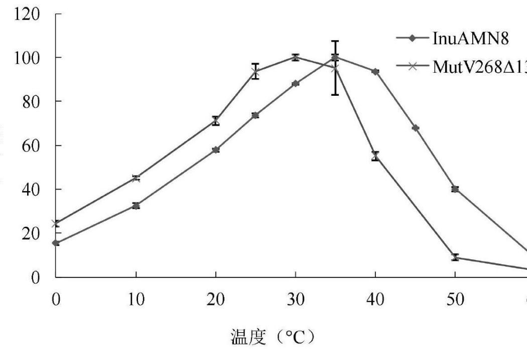 低溫適應性提高的外切菊粉酶突變體MutV268Δ13