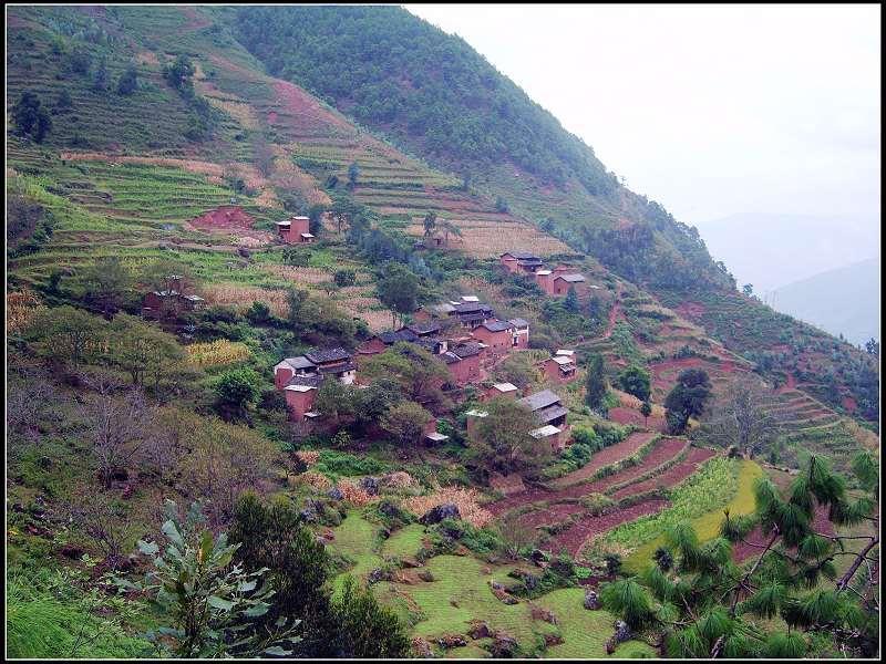 荒田村(新平縣平甸鄉桃孔村民委員會下轄村)