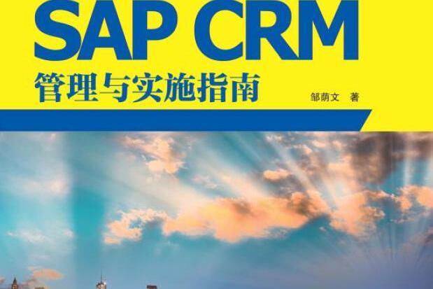 SAP CRM管理與實施指南