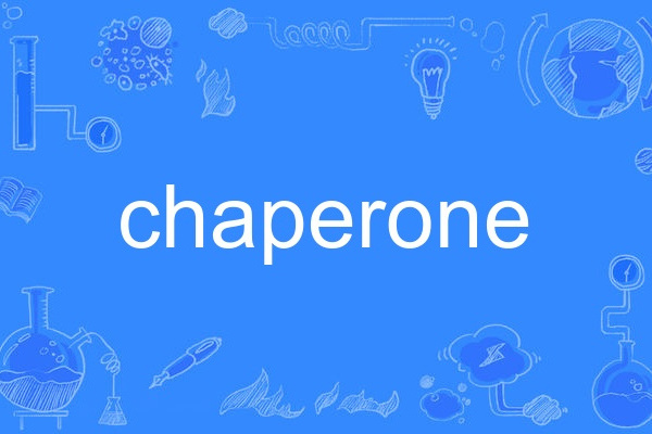 chaperone