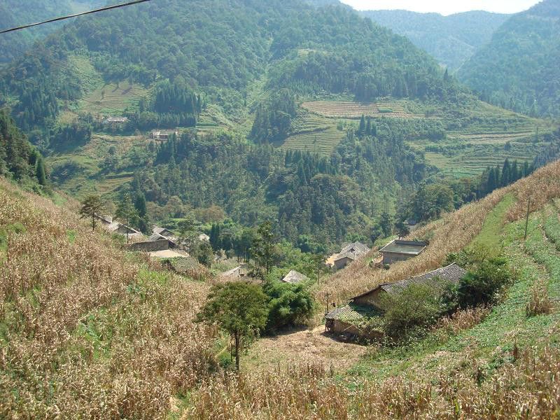 下河自然村(羅布鄉桃壩村委會下轄自然村)