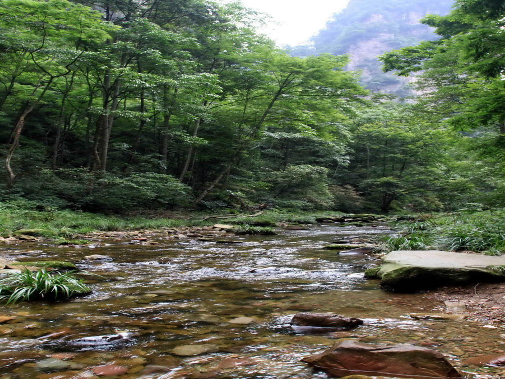 張家界鄉野自主行旅遊網