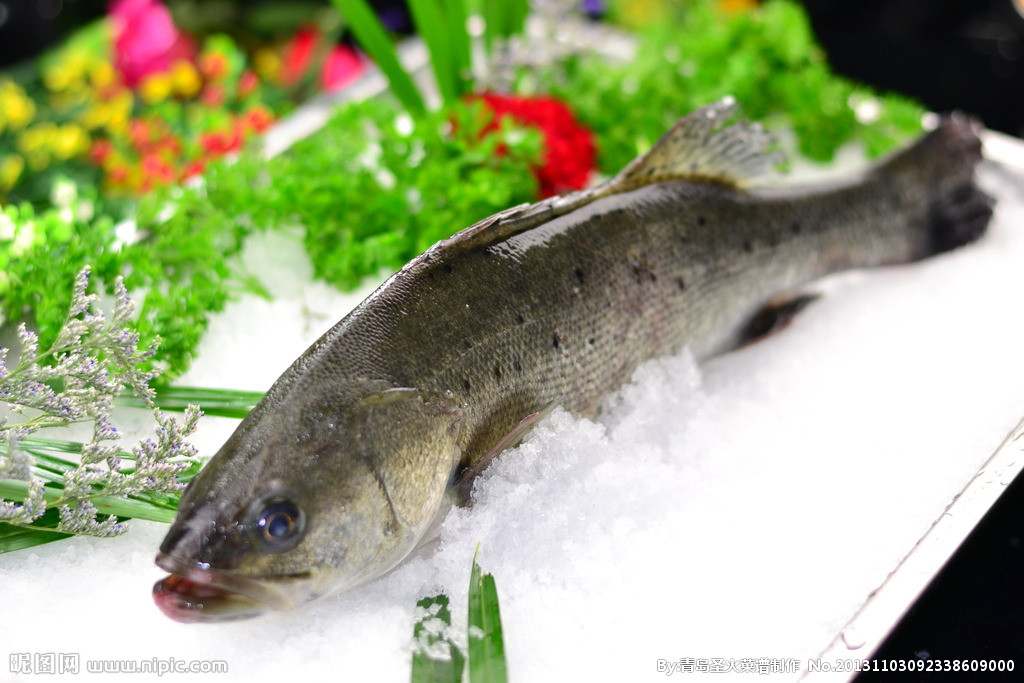 季鷹魚(憶鱸魚)