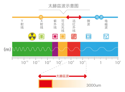 無源太赫茲