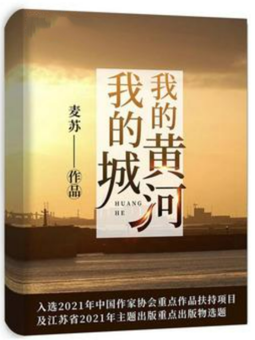 我的黃河我的城(麥蘇所著小說)