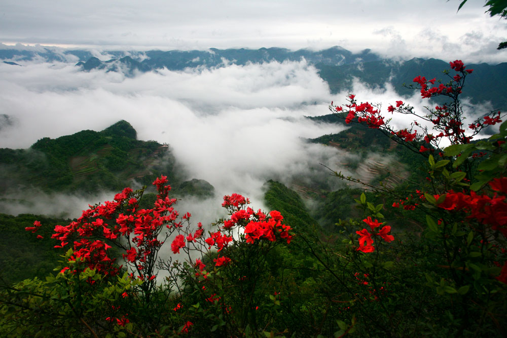 恩施州騰龍洞景區(湖北利川騰龍洞景觀)