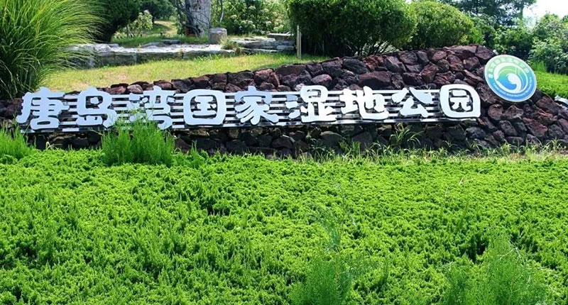 唐島灣國家濕地公園