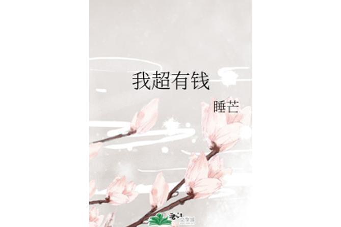 我超有錢(睡芒所著言情小說)