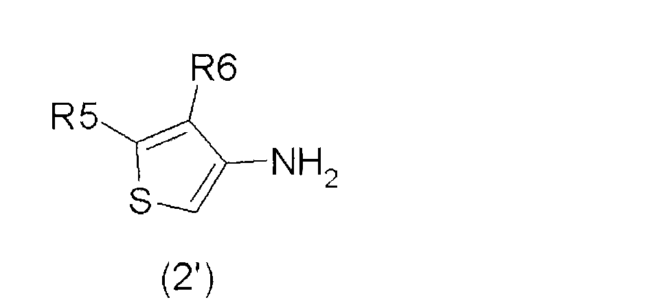 3-氨基二氫噻吩-2-酮