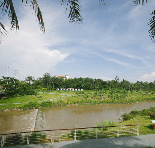 海南海口五源河國家濕地公園