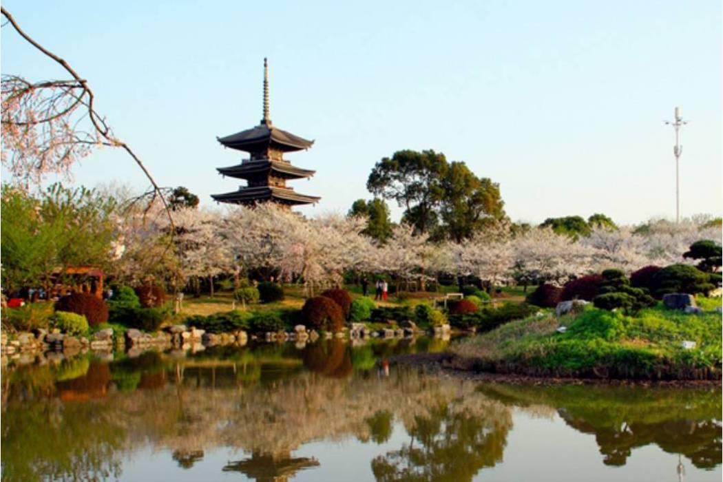 東湖磨山園藝公園