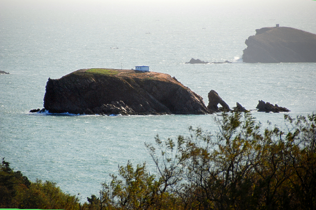 崆峒島刺參