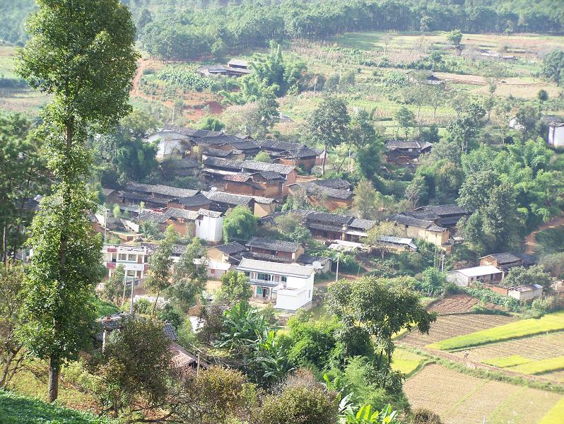 鴨塘村(雲南臨滄永德縣永康鎮下轄村)