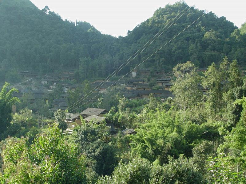 大彎子自然村(雲南省屏邊縣白雲鄉下轄村)