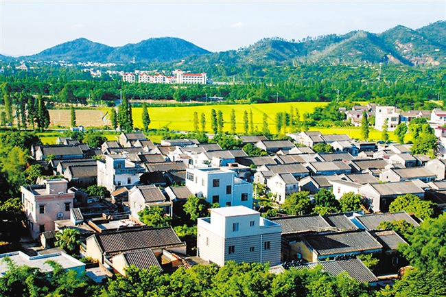 南門村(福建省漳州台商投資區角美鎮下轄村)