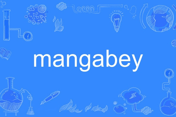 mangabey