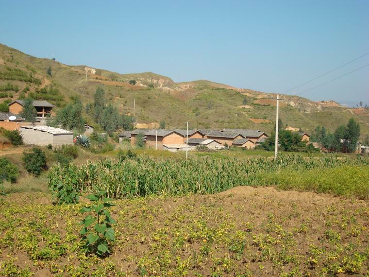 金沙平村(雲南元謀縣物茂鄉下轄村)