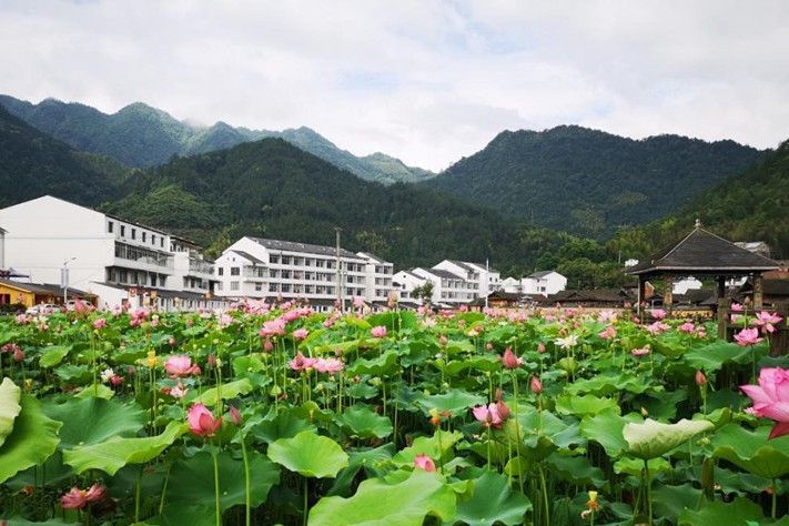 里光村(浙江省溫州市泰順縣司前畲族鎮下轄村)