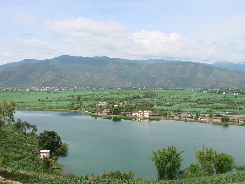 東陽村(雲南省永勝縣光華鄉轄村)