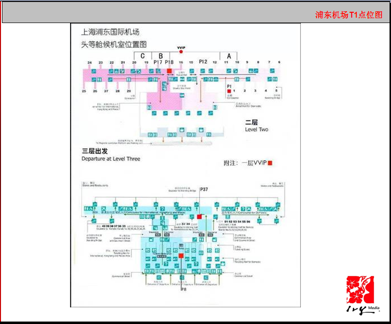 浦東機場T1點點陣圖VIP