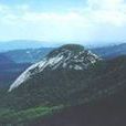 大雲山森林公園