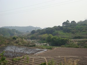 環山村一角