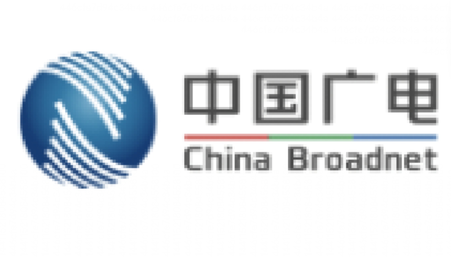 中國廣播電視網路集團有限公司