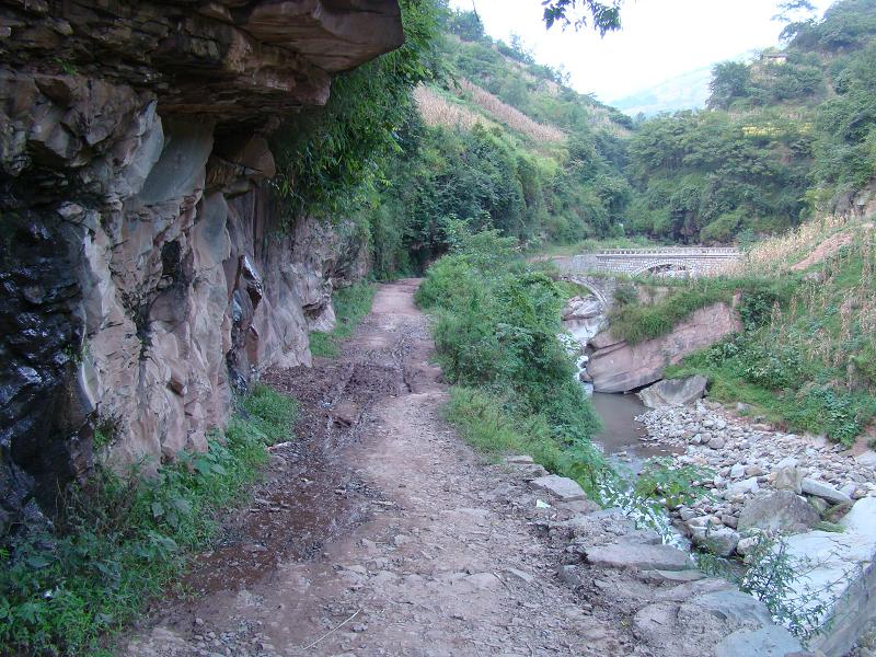 進村道路