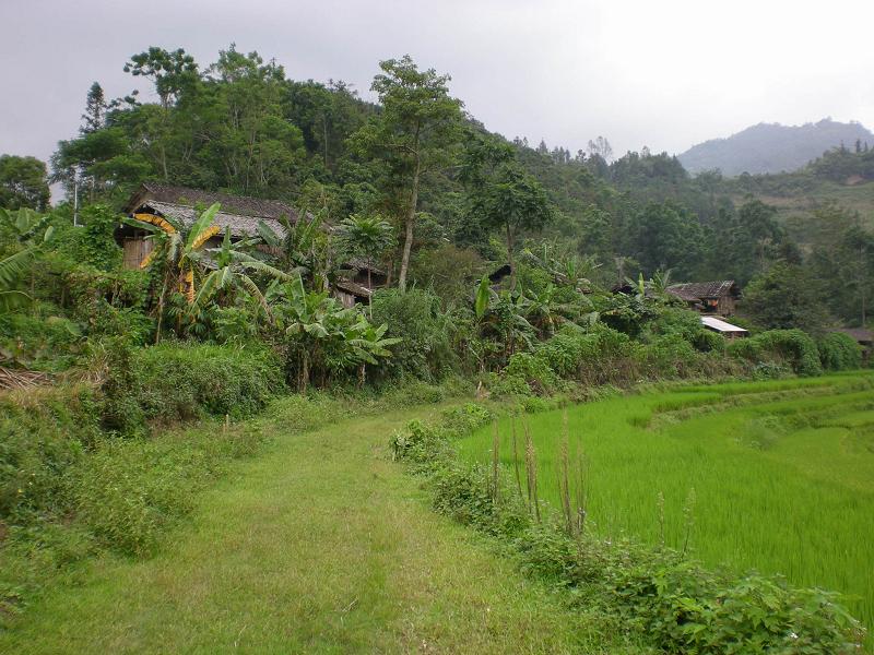 柑子樹村(雲南省紅河州河口瑤族自治縣橋頭鄉柑子樹村)