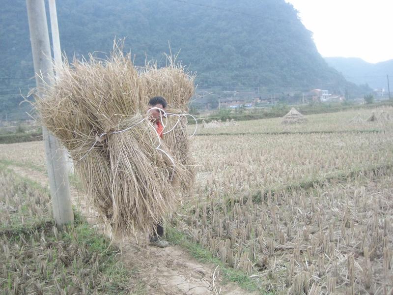 生產勞動