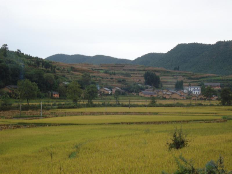 高峰村(貴州黔東南自治州丹寨縣高峰村)