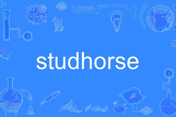 studhorse