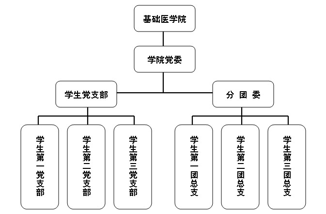 學生工作管理機構圖