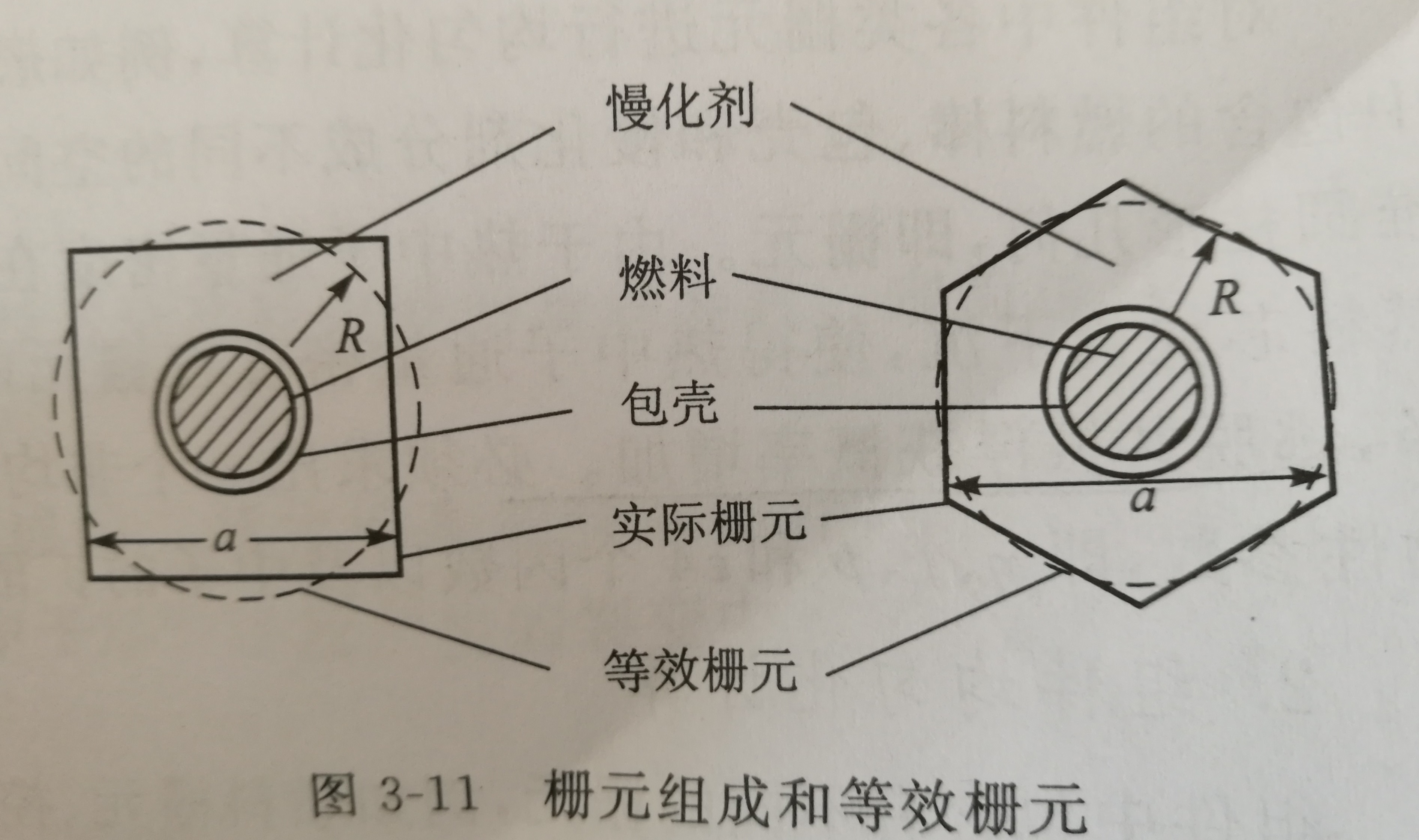 反應堆柵元