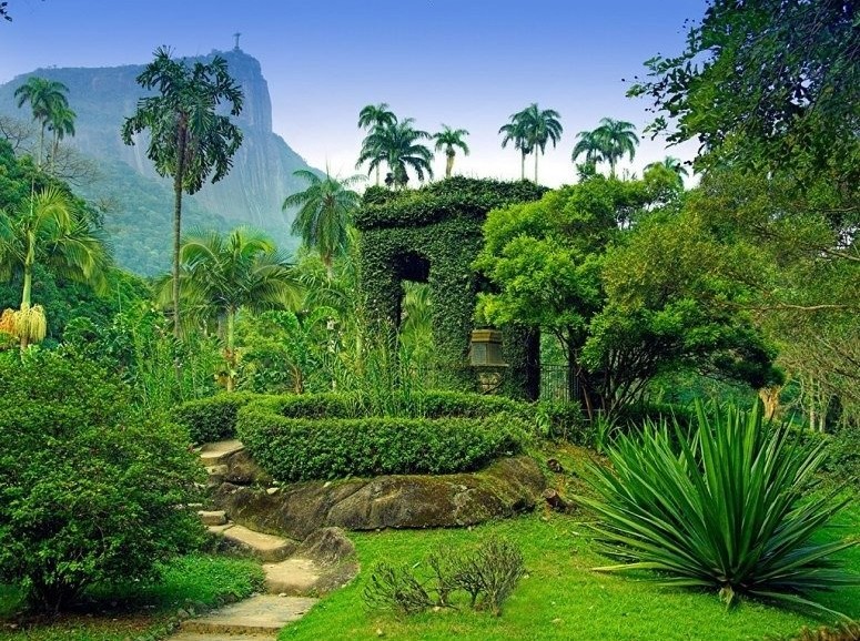 奧爾德里奇植物園