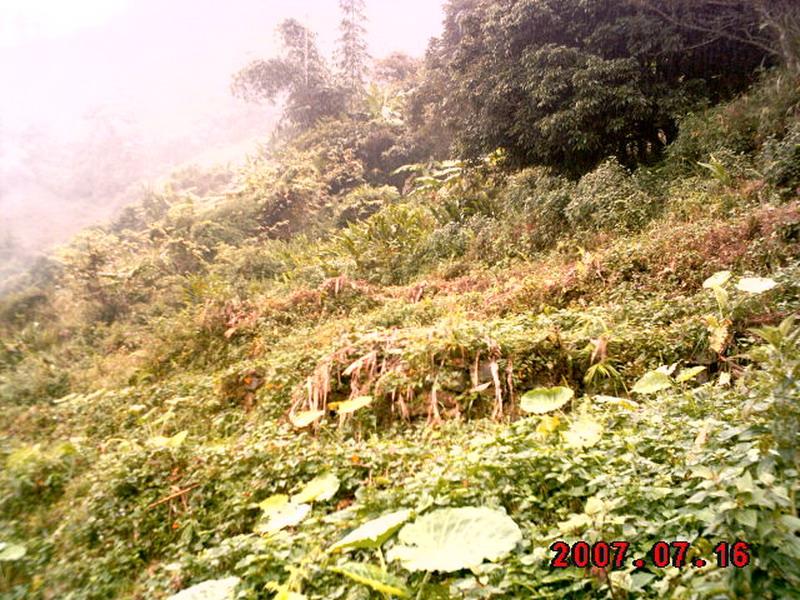 種植業