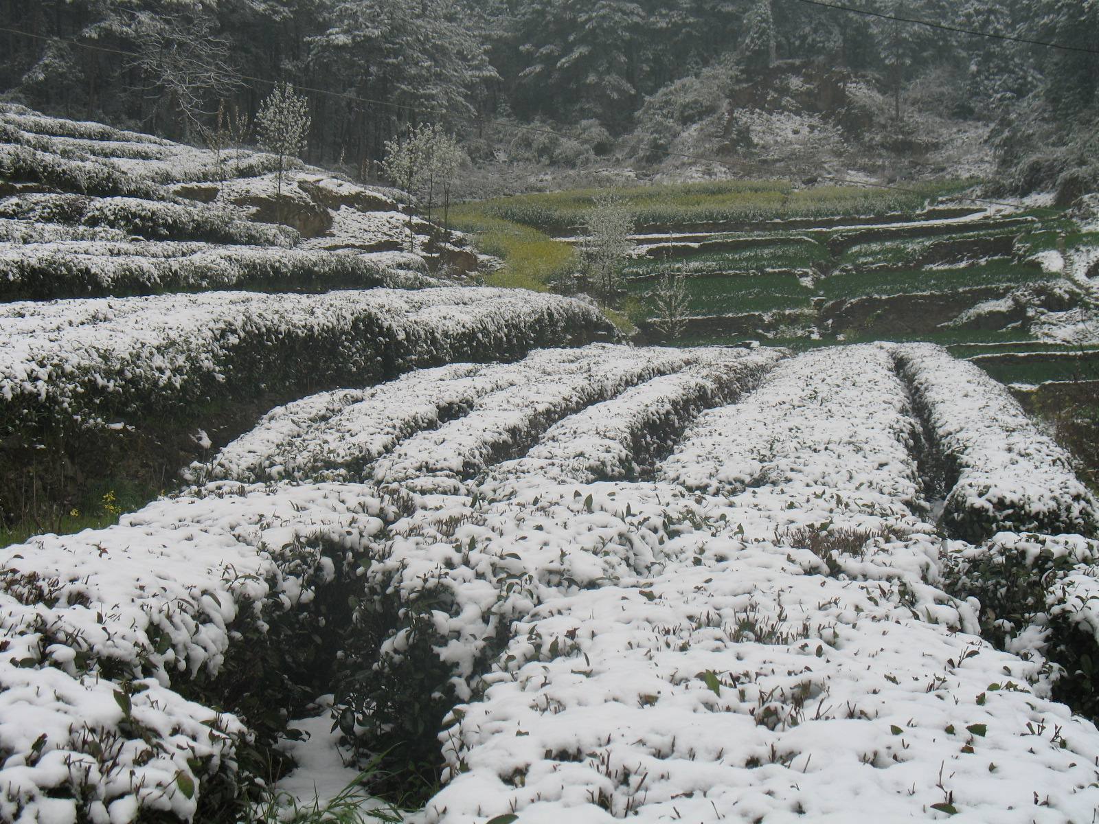 泥河口村