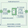 馬萊茨克傳播模式