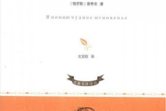 我記得那美妙的瞬間(2012年花城出版社出版的圖書)