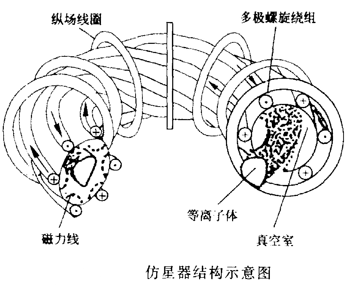 扭曲仿星器