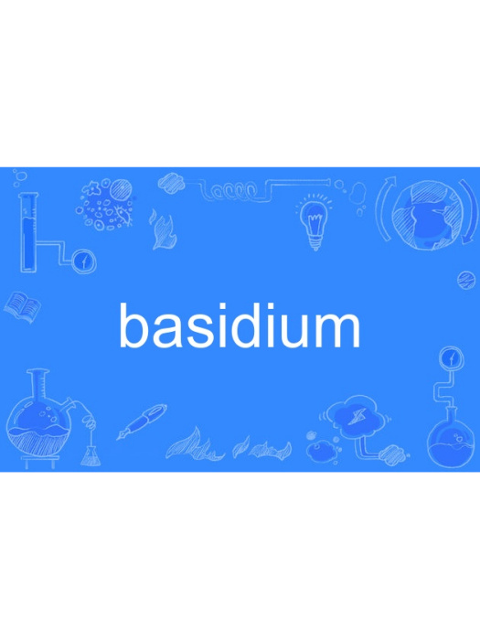 basidium