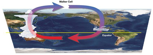 太平洋沃克環流示意圖