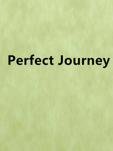 Perfect Journey