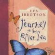 Journey to the River Sea(2008年Macmillan Children's Books出版的圖書)