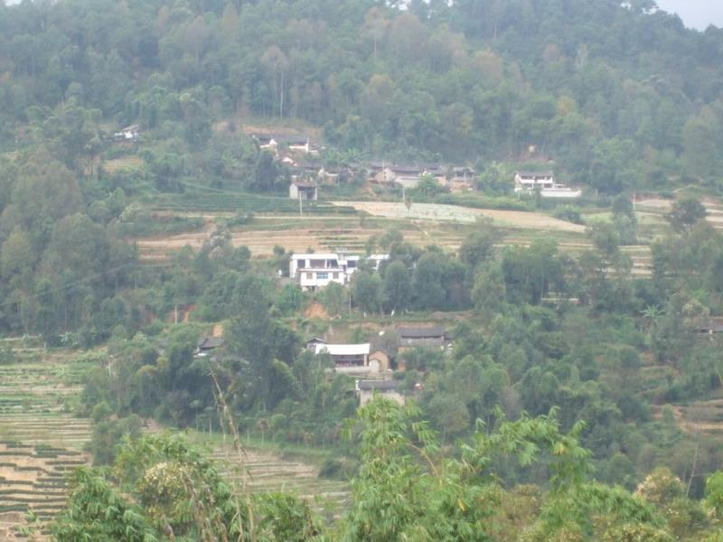 白沙井村(雲南臨滄市鳳慶縣鳳山鎮下轄村)