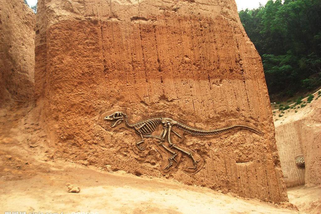 西河橋古生物化石遺址