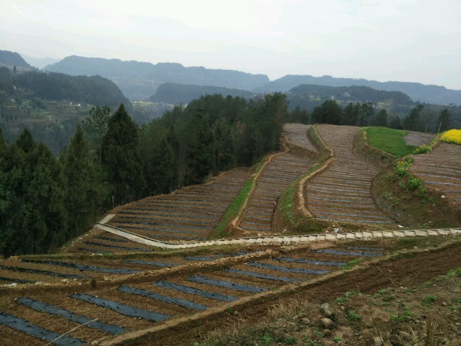 奇果生態觀光園