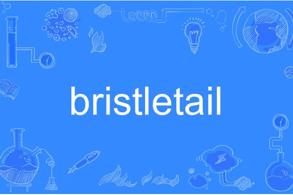 bristletail